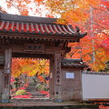 写真: 牛滝山・大威徳寺の紅葉