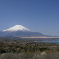 写真: 山中湖と富士山