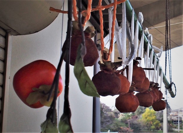 写真: 吊るし柿