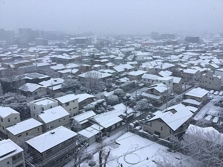 2022.01.06_首都圏の雪