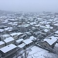 写真: 2022.01.06_首都圏の雪