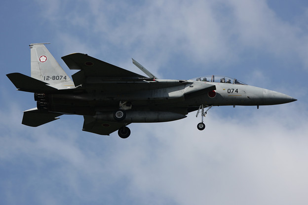 写真: F-15DJ 8074 305sq CTS 2008