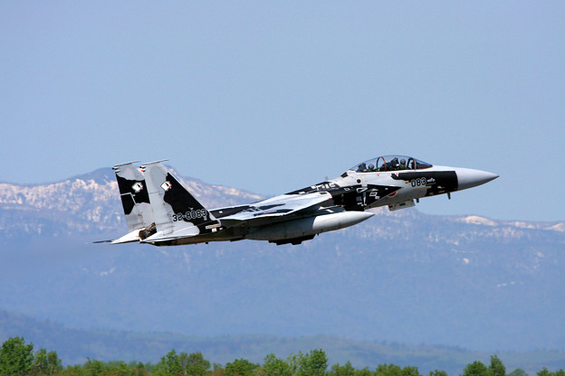 写真: F-15DJ 2006年のAggressor達 8083 2006.05