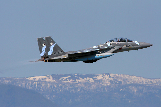 写真: F-15DJ 2006年のAggressor達 8095 2006.05