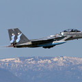 写真: F-15DJ 2006年のAggressor達 8095 2006.05