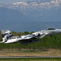 Photos: F-15J 2006年のAggressor達 8906 2006