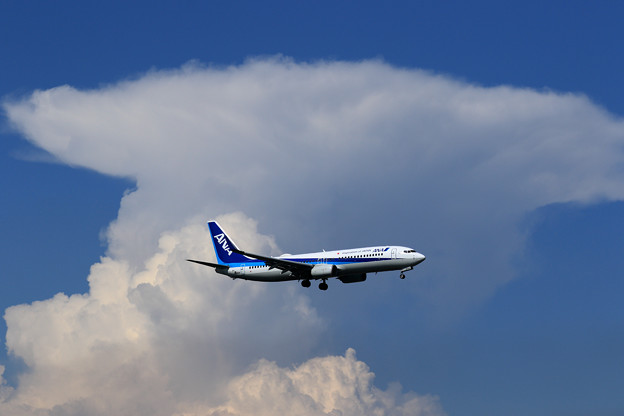 写真: Boeing 737-800 ANA 夏の雲