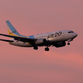 写真: とき色の空 AIRDO Boeing737