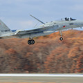 写真: F-15J 8892 203sq Landing
