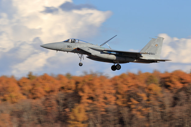 写真: F-15J 8901 201sq Landing