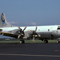 写真: P-3C VP-40 QE-5 159325 SMJ 1983