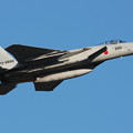 写真: F-15J 8886 305sq CTS 2011.10