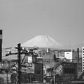 蒲田から富士山 1972年