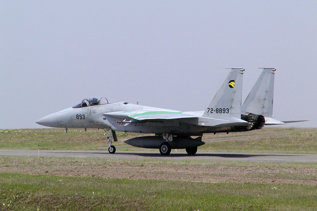 F-15J 8893 306sq CTS 2004.05