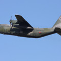 Photos: C-130H ROK AF 95-180 CTS 2012.10