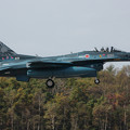 Photos: F-2A 8531 8thSQ 50th Anniversary in CTS 2010.10