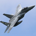 写真: F-15DJ 8088 203sq機動予行