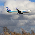 Photos: Boeing737-800 JA52AN approach
