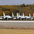 写真: F-15 203sq line up