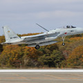 写真: F-15J 8901 201sq landing