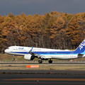 A321neo JA134A ANA landing