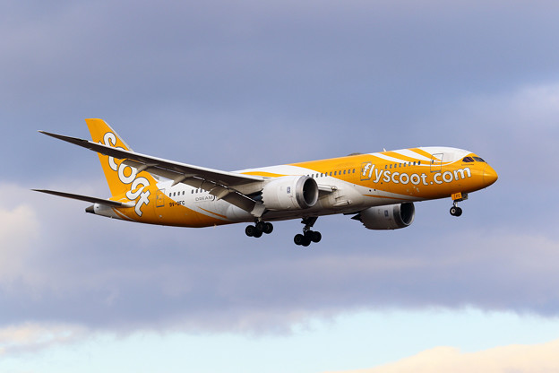 Boeing787-8 Scoot 9V-OFC approach