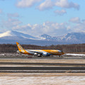 Photos: Boeing 787-8 9V-OFB Scoot