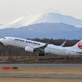 Photos: Boeing 737-800 JA316J JAL takeoff