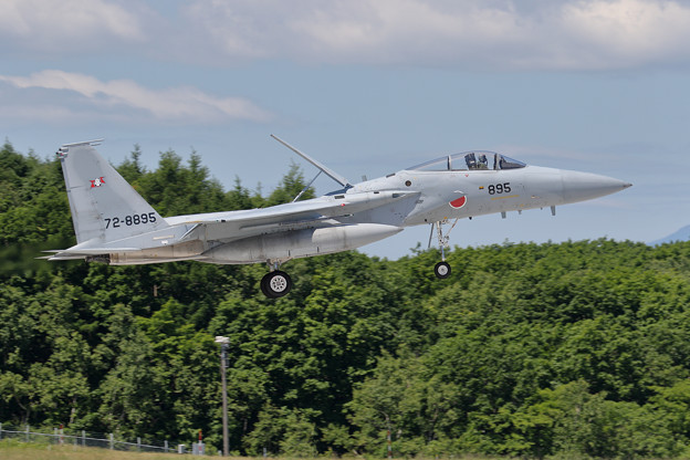 F-15J 8895 203sq landing