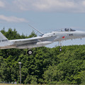 写真: F-15J 8895 203sq landing