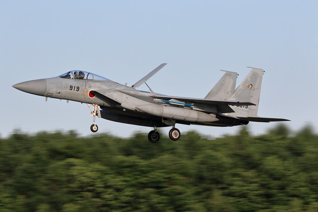 写真: F-15J 8919 201sq landing