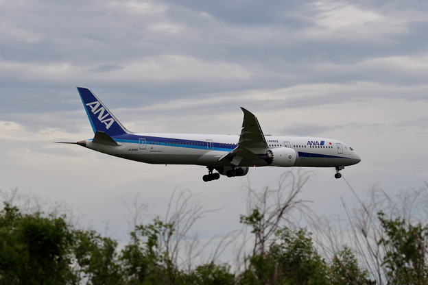Boeing 787-9 JA936A ANA approach