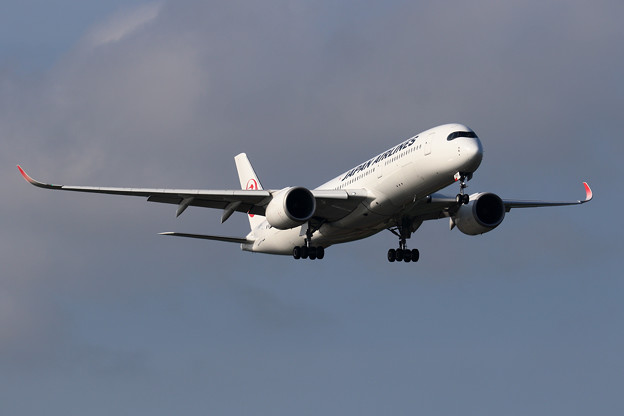 Photos: A350-900 JA05XJ JAL approach