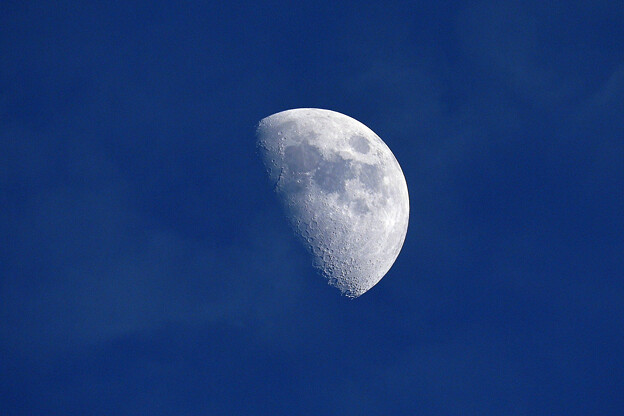 写真: 冬晴れの空に白い月