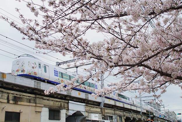 写真: 271系はるか＠大阪環状線