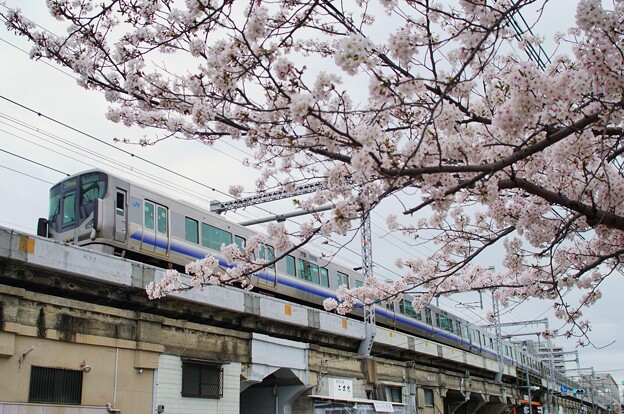 225系＠大阪環状線