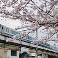 写真: 225系＠大阪環状線