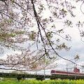 写真: 近鉄大阪線＠大和川