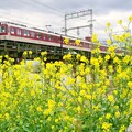 写真: 近鉄大阪線＠大和川