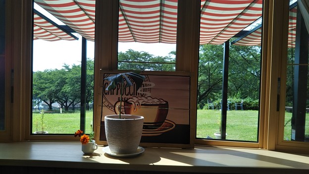 東松山農林公園のカフェのいい感じの窓からの景色