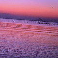 写真: 海になびく夕日