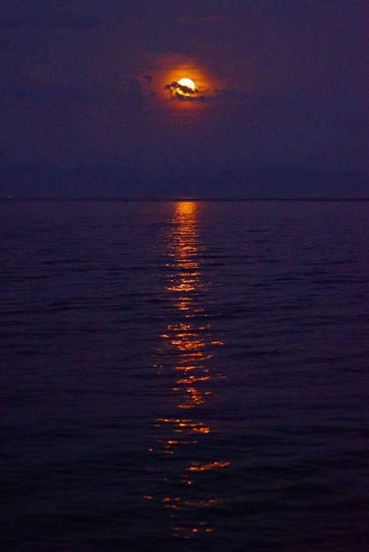海の満月