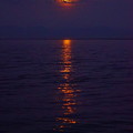 写真: 海の満月