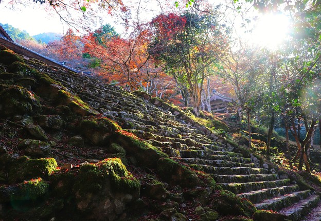 写真: 高源寺　石段