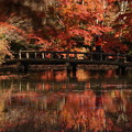 写真: 紅葉の池