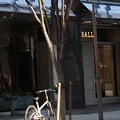 写真: 自転車のいる街角