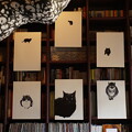 Photos: 猫の本棚