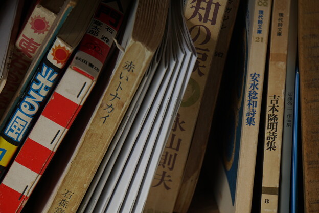 Photos: 昭和の本棚