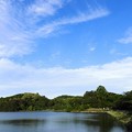 写真: 高松の池 (5)