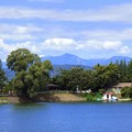 写真: 高松の池 (5)